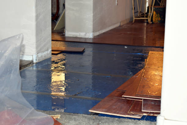 Professional Basement Flood Cleanup technician working in Lumberton, NJ